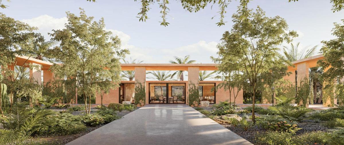 Foto de terreno habitacional en venta en  , chicxulub, chicxulub pueblo, yucatán, 30710836 No. 03