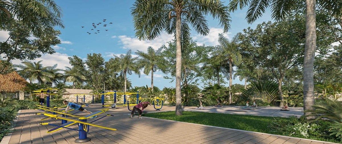 Foto de terreno habitacional en venta en  , chicxulub, chicxulub pueblo, yucatán, 0 No. 03