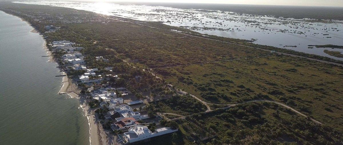 Foto de terreno habitacional en venta en  , chicxulub, chicxulub pueblo, yucatán, 0 No. 03
