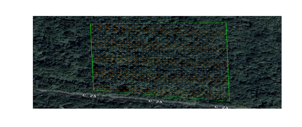 Foto de terreno habitacional en , chicxulub, chicxulub pueblo, yucatán, 0 foto 01 Foto de terreno habitacional en venta en , chicxulub, chicxulub pueblo, yucatán, 0 No. 01