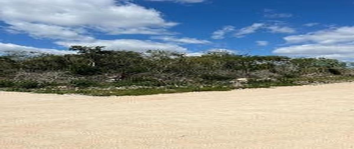 Foto de terreno habitacional en , chicxulub, chicxulub pueblo, yucatán, 0 foto 02 Foto de terreno habitacional en venta en , chicxulub, chicxulub pueblo, yucatán, 0 No. 02