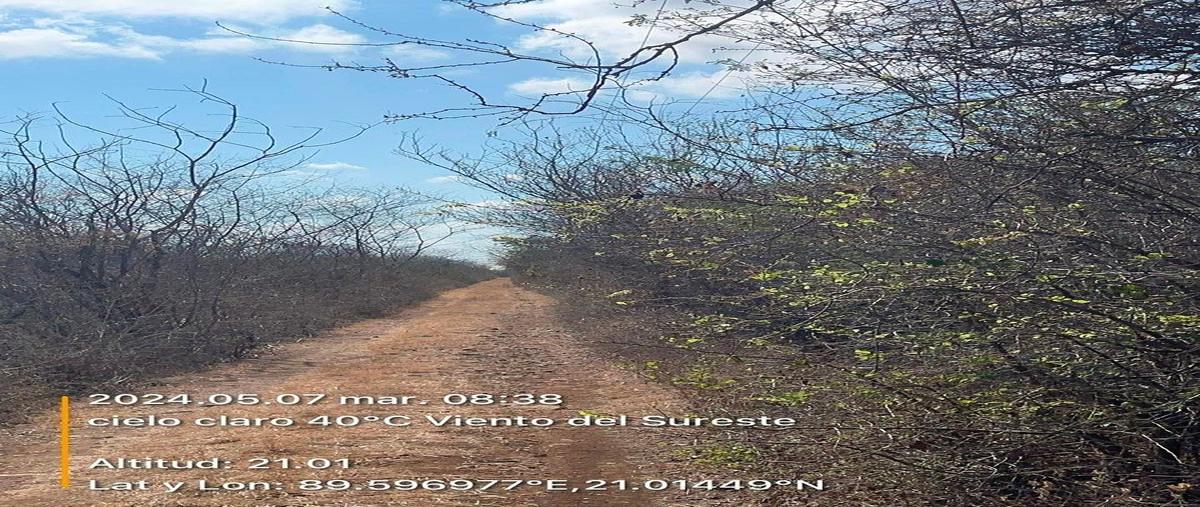 Foto de terreno habitacional en , chicxulub, chicxulub pueblo, yucatán, 0 foto 04 Foto de terreno habitacional en venta en , chicxulub, chicxulub pueblo, yucatán, 0 No. 04