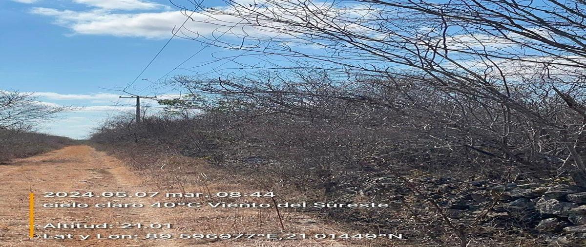 Foto de terreno habitacional en , chicxulub, chicxulub pueblo, yucatán, 0 foto 05 Foto de terreno habitacional en venta en , chicxulub, chicxulub pueblo, yucatán, 0 No. 05