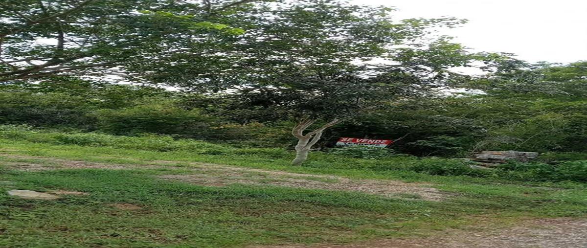 Foto de terreno habitacional en , chicxulub, chicxulub pueblo, yucatán, 30813265 foto 05 Foto de terreno habitacional en venta en , chicxulub, chicxulub pueblo, yucatán, 30813265 No. 05