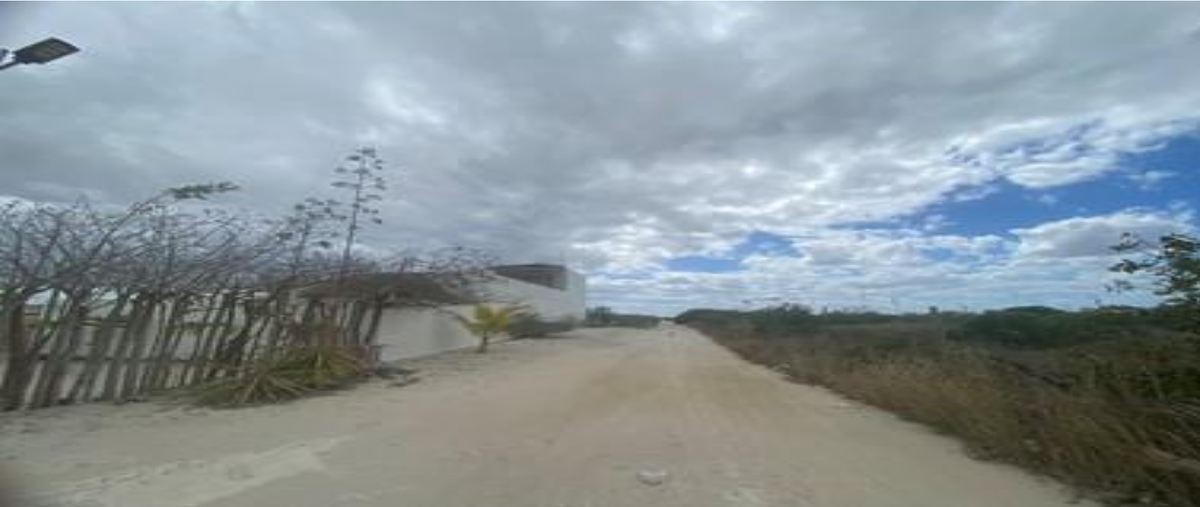 Foto de terreno habitacional en , chicxulub, chicxulub pueblo, yucatán, 0 foto 02 Foto de terreno habitacional en venta en , chicxulub, chicxulub pueblo, yucatán, 0 No. 02
