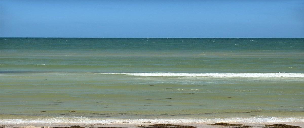 Foto de terreno habitacional en renta en  , chicxulub, chicxulub pueblo, yucatán, 0 No. 04