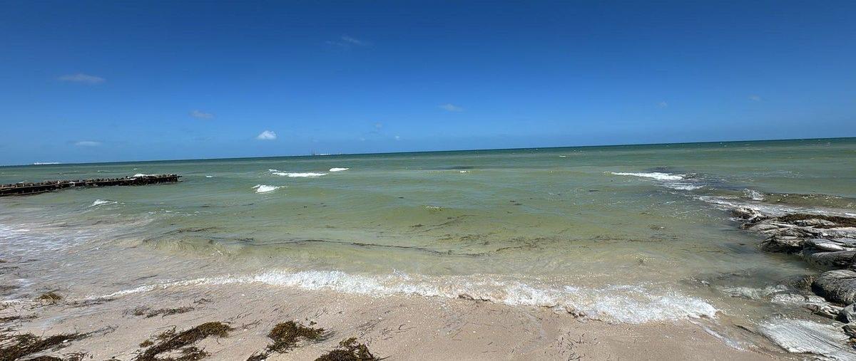 Foto de terreno habitacional en renta en  , chicxulub, chicxulub pueblo, yucatán, 0 No. 05