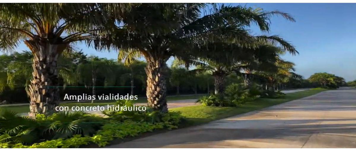Foto de terreno habitacional en venta en  , chicxulub, chicxulub pueblo, yucatán, 0 No. 04