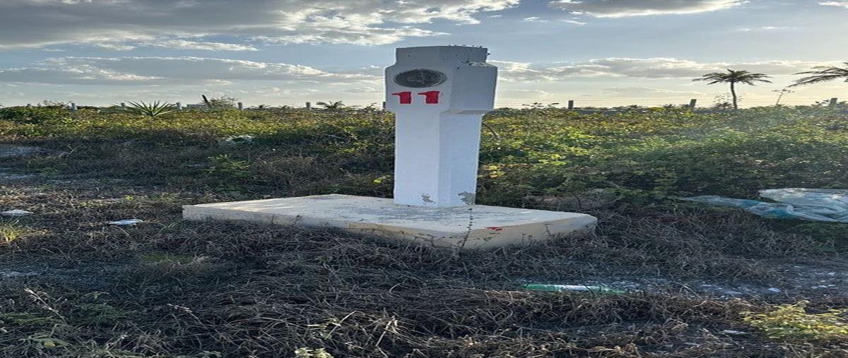 Foto de terreno comercial en venta en  , chicxulub, chicxulub pueblo, yucatán, 0 No. 04