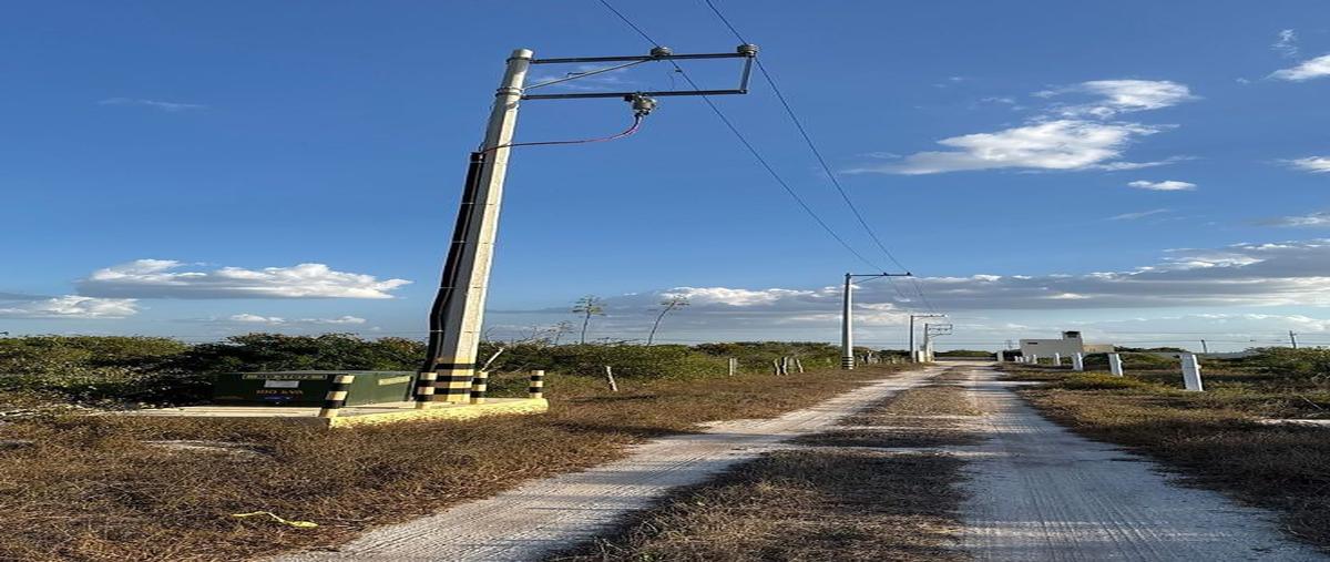 Foto de terreno comercial en venta en  , chicxulub, chicxulub pueblo, yucatán, 0 No. 05