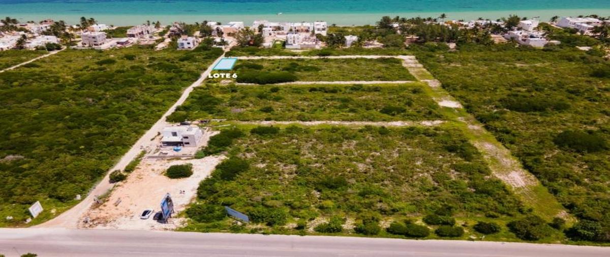 Foto de terreno habitacional en , chicxulub, chicxulub pueblo, yucatán, 0 foto 01 Foto de terreno habitacional en venta en , chicxulub, chicxulub pueblo, yucatán, 0 No. 01