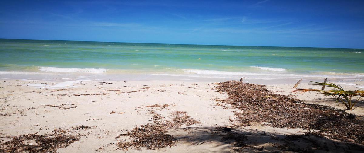 Foto de casa en , chicxulub, chicxulub pueblo, yucatán, 7145282 foto 02 Foto de casa en renta en , chicxulub, chicxulub pueblo, yucatán, 7145282 No. 02