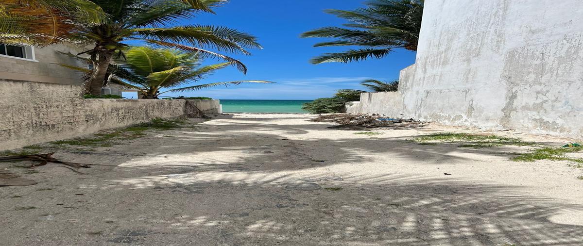 Foto de terreno habitacional en venta en chicxulub , chicxulub puerto, progreso, yucatán, 0 No. 04