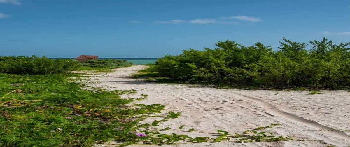 Foto de casa en venta en chicxulub , chicxulub puerto, progreso, yucatán, 0 No. 05