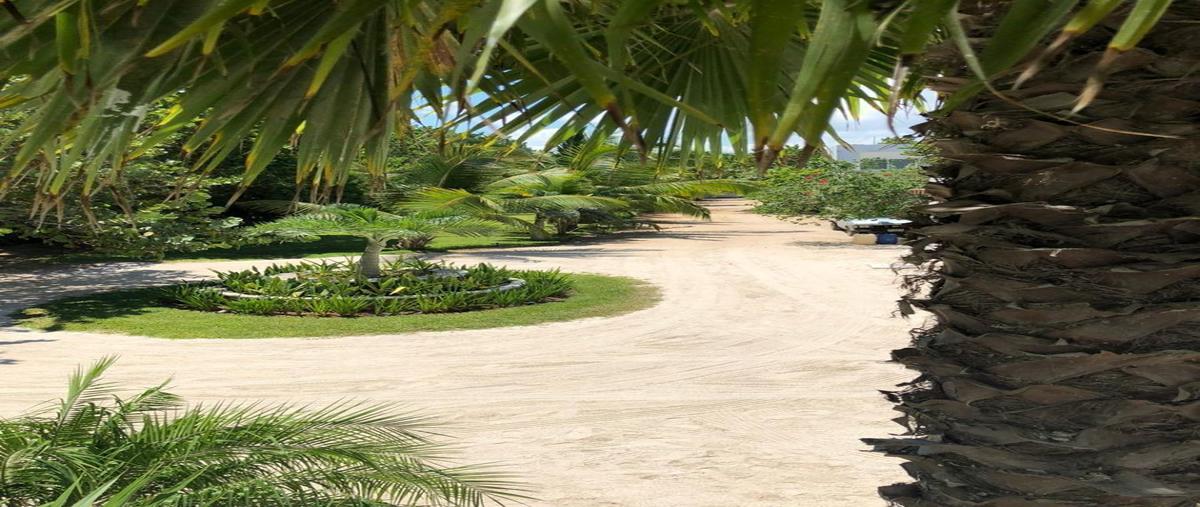 Foto de casa en renta en  , chicxulub puerto, progreso, yucatán, 17469989 No. 04