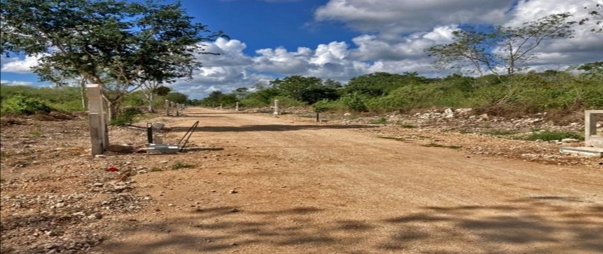 Foto de terreno habitacional en venta en  , chicxulub puerto, progreso, yucatán, 24813214 No. 04