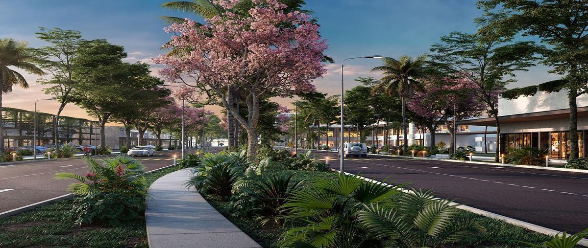 Foto de terreno habitacional en venta en  , chicxulub puerto, progreso, yucatán, 25040363 No. 04