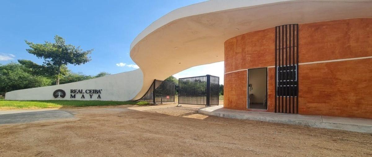 Foto de terreno habitacional en , chicxulub puerto, progreso, yucatán, 25535945 foto 02 Foto de terreno habitacional en venta en , chicxulub puerto, progreso, yucatán, 25535945 No. 02