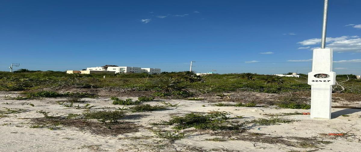 Foto de terreno habitacional en venta en  , chicxulub puerto, progreso, yucatán, 26089271 No. 05