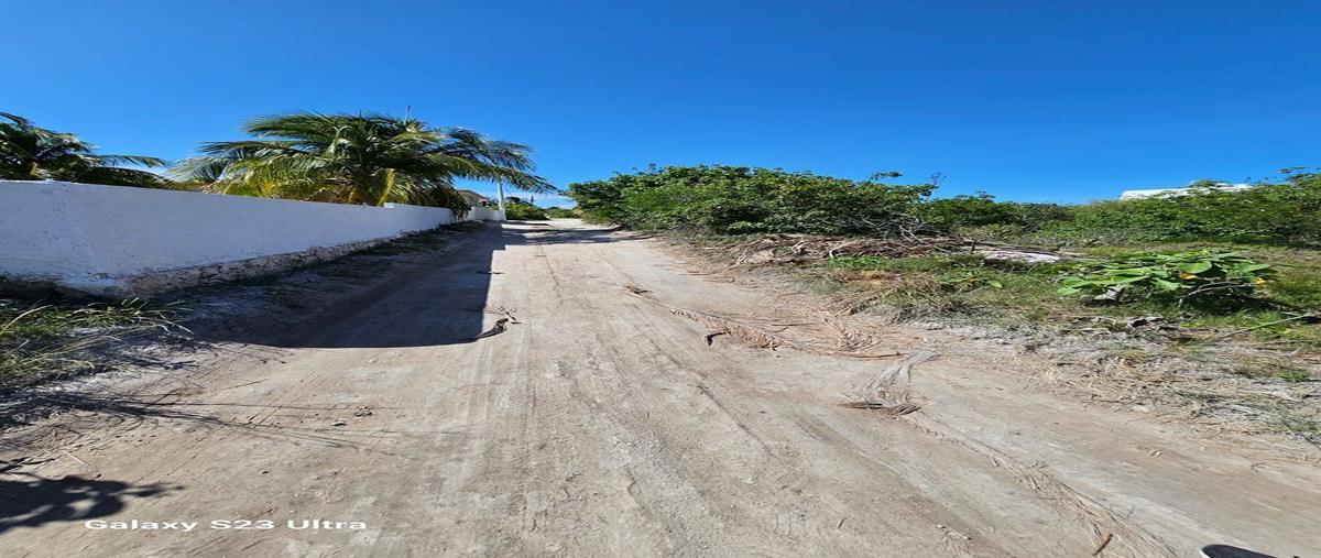 Foto de terreno habitacional en venta en  , chicxulub puerto, progreso, yucatán, 26845894 No. 04