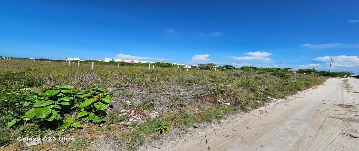 Foto de terreno habitacional en venta en  , chicxulub puerto, progreso, yucatán, 26845894 No. 05