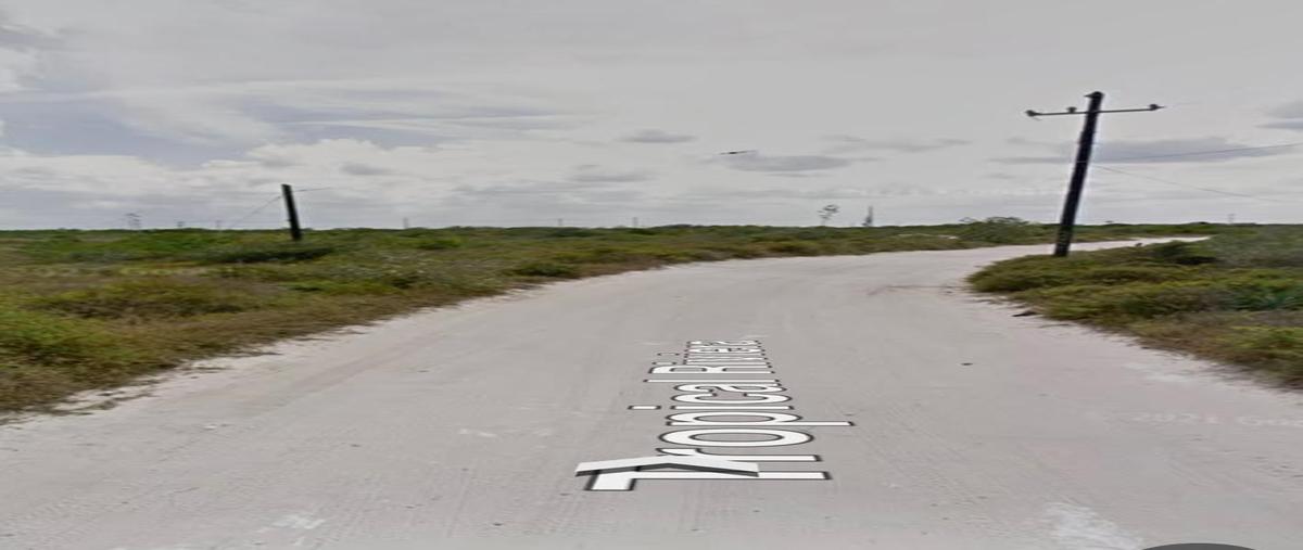 Foto de terreno habitacional en venta en  , chicxulub puerto, progreso, yucatán, 27042585 No. 03