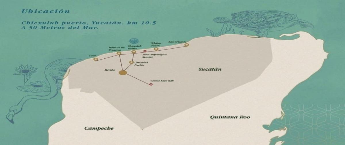 Foto de departamento en venta en  , chicxulub puerto, progreso, yucatán, 27084902 No. 05