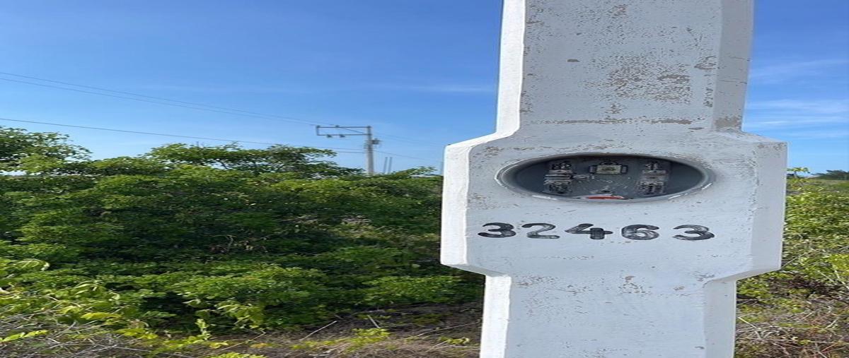 Foto de terreno habitacional en venta en  , chicxulub puerto, progreso, yucatán, 27314483 No. 03