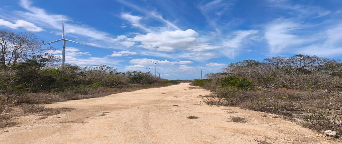Foto de terreno habitacional en venta en  , chicxulub puerto, progreso, yucatán, 27505442 No. 03