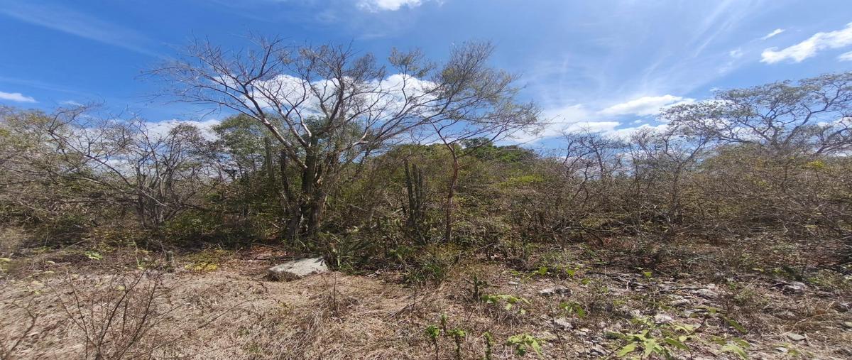 Foto de terreno habitacional en venta en  , chicxulub puerto, progreso, yucatán, 27505442 No. 04