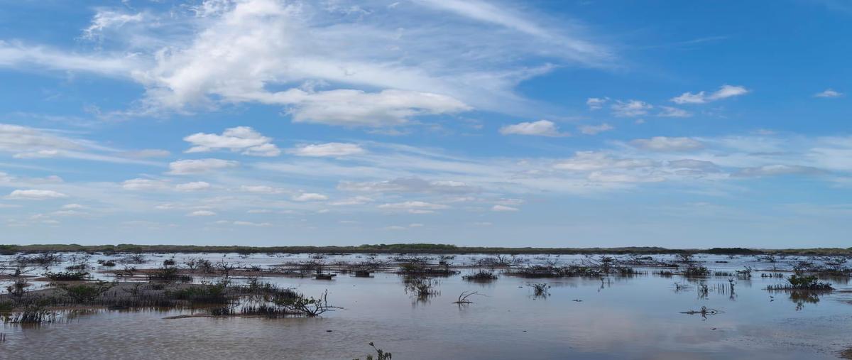 Foto de terreno habitacional en venta en  , chicxulub puerto, progreso, yucatán, 27505442 No. 05