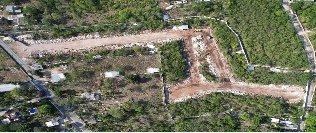 Foto de terreno habitacional en venta en  , chicxulub puerto, progreso, yucatán, 27513471 No. 03