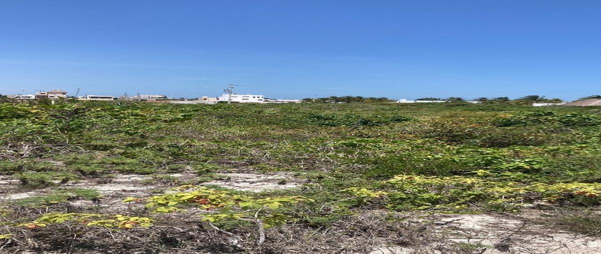 Foto de terreno habitacional en venta en  , chicxulub puerto, progreso, yucatán, 27680995 No. 05