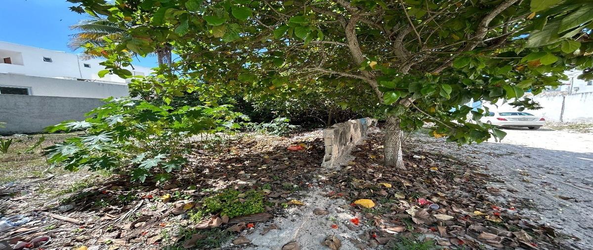 Foto de terreno habitacional en venta en  , chicxulub puerto, progreso, yucatán, 27681166 No. 04