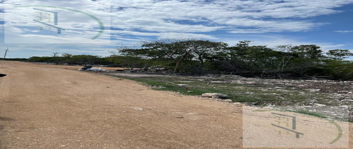 Foto de terreno habitacional en venta en  , chicxulub puerto, progreso, yucatán, 0 No. 03