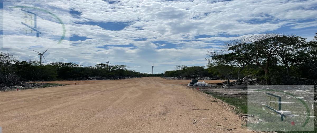 Foto de terreno habitacional en venta en  , chicxulub puerto, progreso, yucatán, 0 No. 04