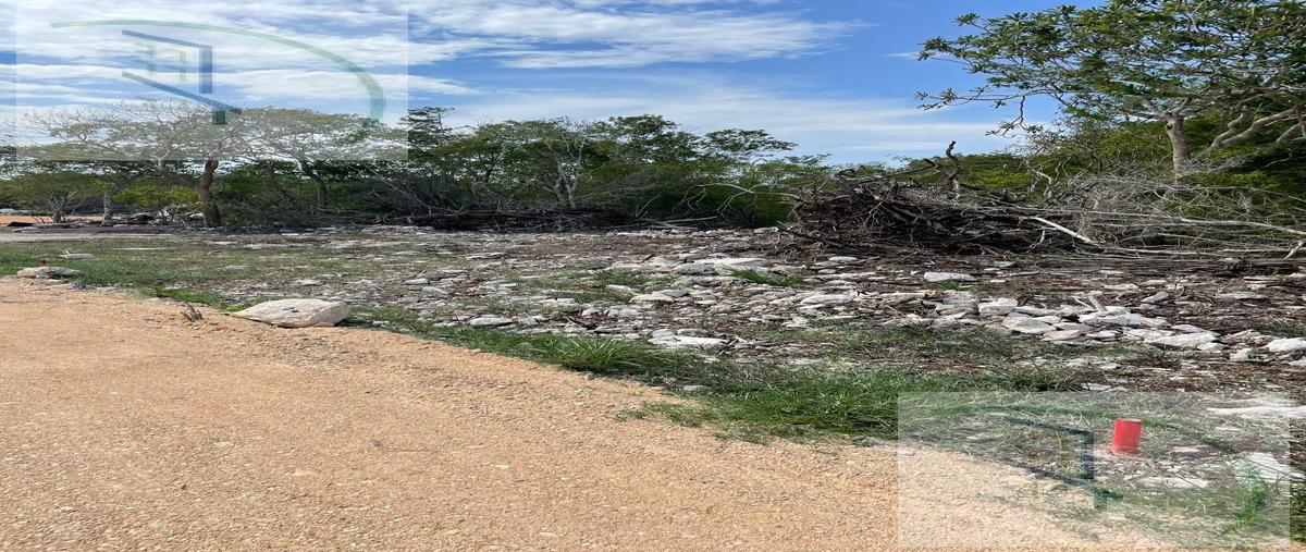Foto de terreno habitacional en venta en  , chicxulub puerto, progreso, yucatán, 0 No. 05