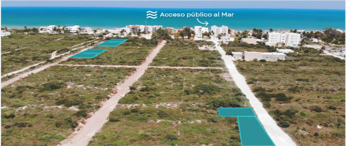Foto de terreno habitacional en , chicxulub puerto, progreso, yucatán, 0 foto 01 Foto de terreno habitacional en venta en , chicxulub puerto, progreso, yucatán, 0 No. 01