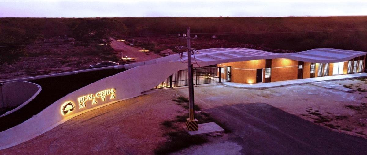 Foto de terreno habitacional en venta en  , chicxulub puerto, progreso, yucatán, 0 No. 05