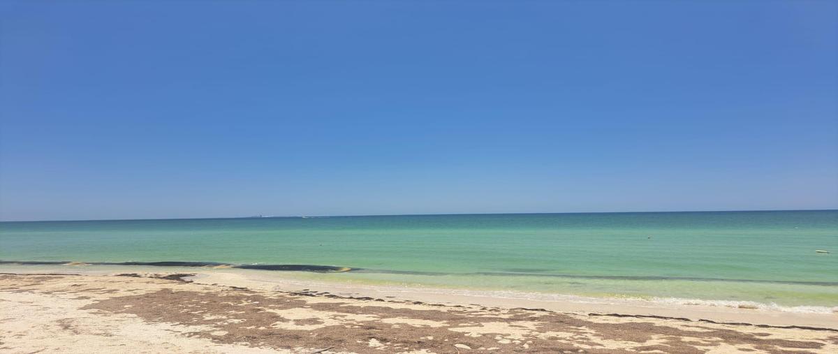Foto de departamento en , chicxulub puerto, progreso, yucatán, 0 foto 02 Foto de departamento en venta en , chicxulub puerto, progreso, yucatán, 0 No. 02