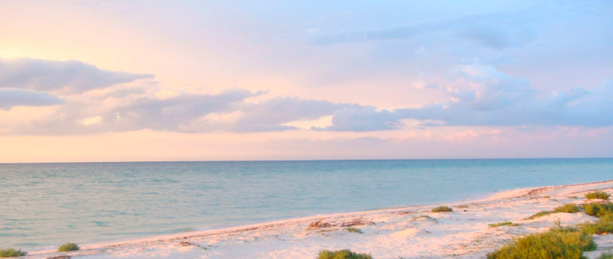 Foto de terreno habitacional en , chicxulub puerto, progreso, yucatán, 0 foto 04 Foto de terreno habitacional en venta en , chicxulub puerto, progreso, yucatán, 0 No. 04