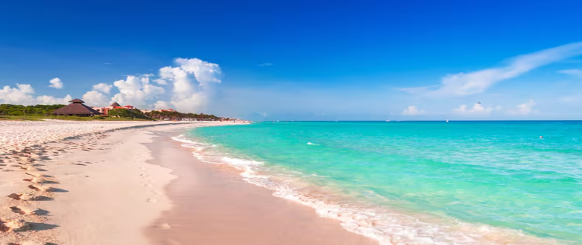 Foto de terreno habitacional en , chicxulub puerto, progreso, yucatán, 0 foto 05 Foto de terreno habitacional en venta en , chicxulub puerto, progreso, yucatán, 0 No. 05
