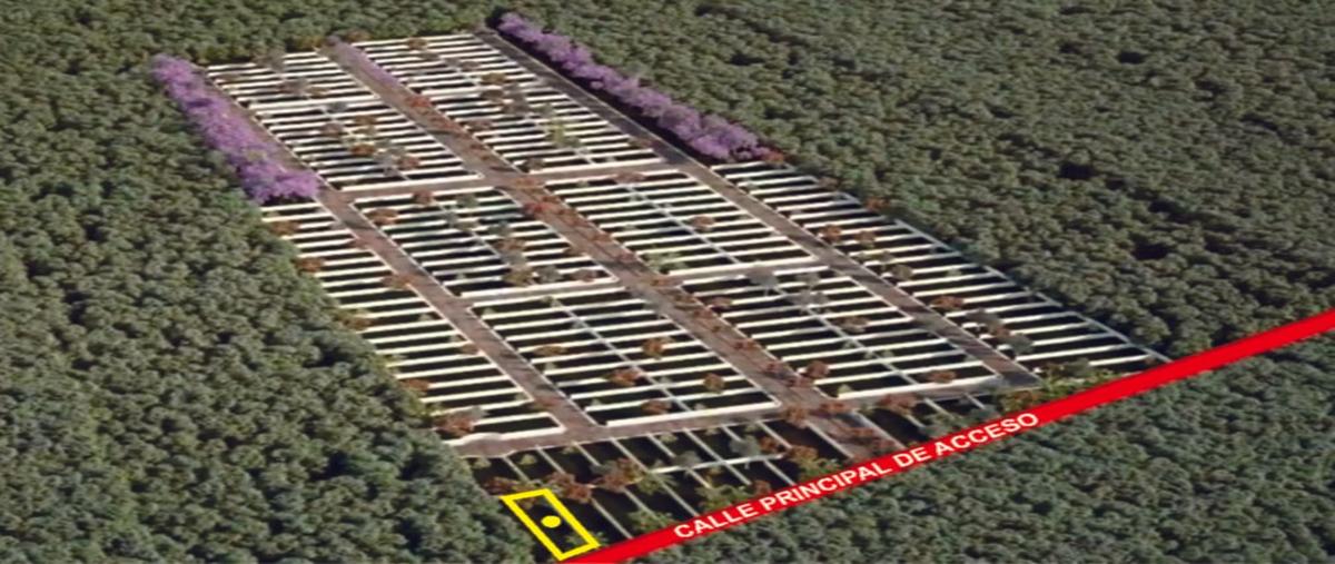 Foto de terreno habitacional en venta en  , chicxulub puerto, progreso, yucatán, 0 No. 03