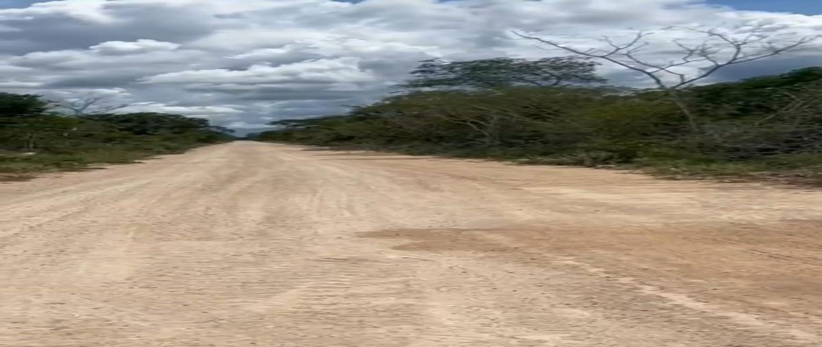 Foto de terreno habitacional en venta en  , chicxulub puerto, progreso, yucatán, 0 No. 05