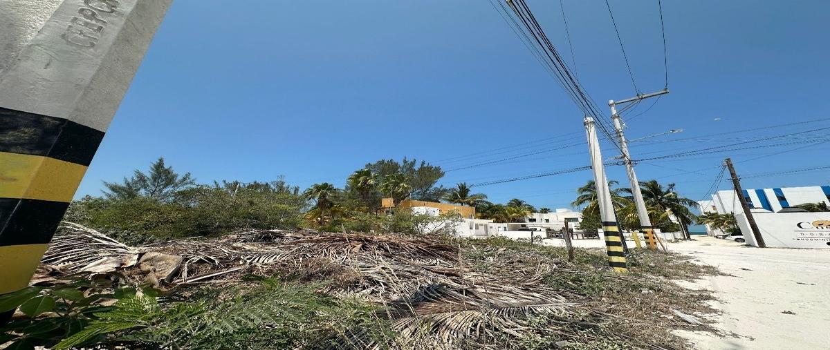 Foto de terreno habitacional en , chicxulub puerto, progreso, yucatán, 0 foto 05 Foto de terreno habitacional en venta en , chicxulub puerto, progreso, yucatán, 0 No. 05