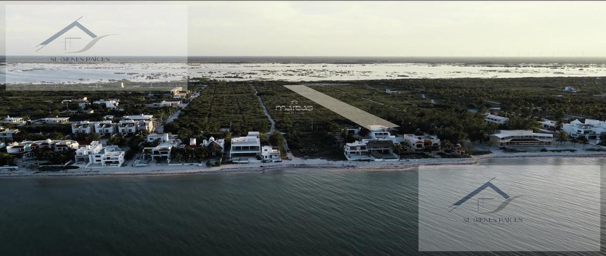 Foto de terreno habitacional en venta en  , chicxulub puerto, progreso, yucatán, 29067478 No. 04