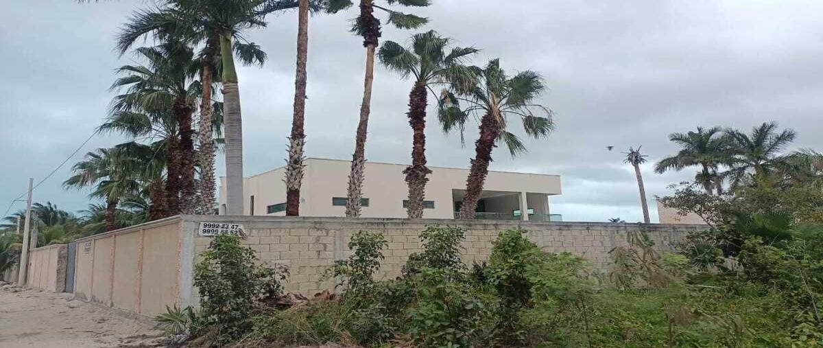 Foto de casa en venta en  , chicxulub puerto, progreso, yucatán, 29089584 No. 05