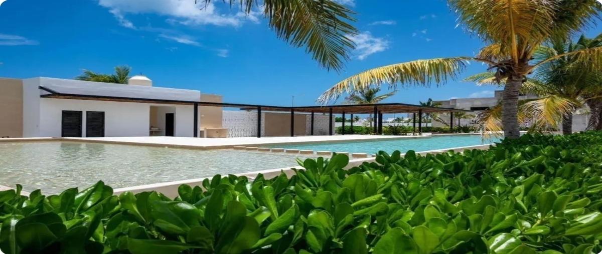 Foto de terreno habitacional en venta en  , chicxulub puerto, progreso, yucatán, 29304554 No. 03