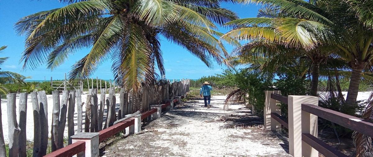 Foto de terreno habitacional en venta en  , chicxulub puerto, progreso, yucatán, 0 No. 03