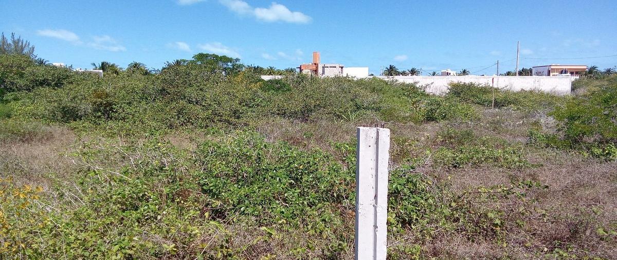Foto de terreno habitacional en venta en  , chicxulub puerto, progreso, yucatán, 0 No. 04